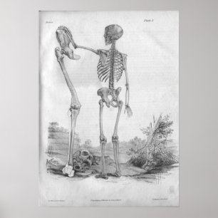 1854 Vintage Anatomy Skeleton Print