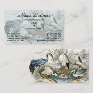1866 Crane White Stork Heron Little Egret Tree Business Card