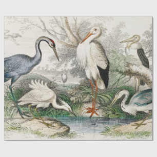 1866 Crane  White Stork Heron Little Egret Tree Wrapping Paper