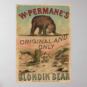 1880 Blondin Bear Vintage Circus Poster Art Print