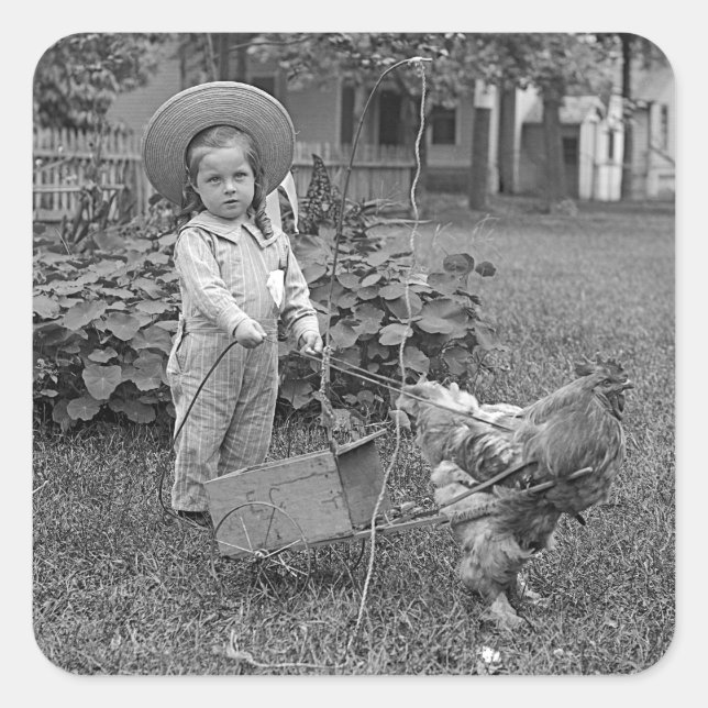 1880's Adorable Girl and Rooster Cart in Garden Square Sticker (Front)