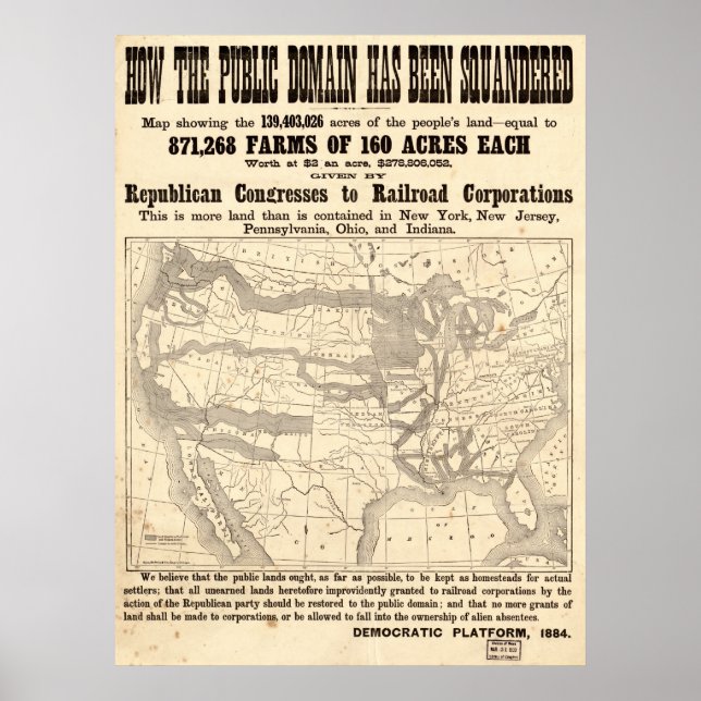 1884 Democratic Platform Political Campaign Poster (Front)