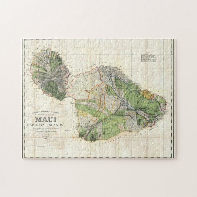 1885 De Witt Alexander Map of Maui, Hawaii Jigsaw Puzzle (Horizontal)