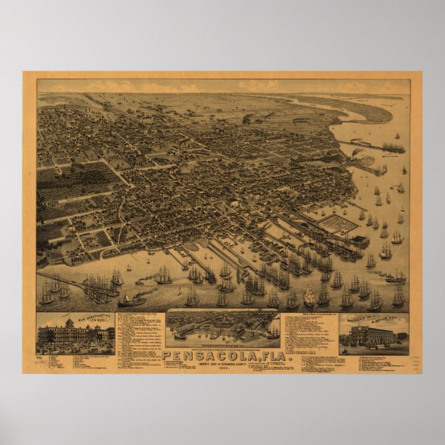 1885 Pensacola, FL Birds Eye View Panoramic Map Poster (Front)