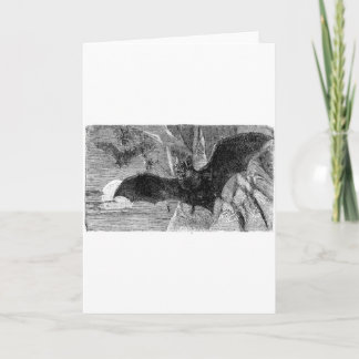 1885 Vampire Bat Illustration Card