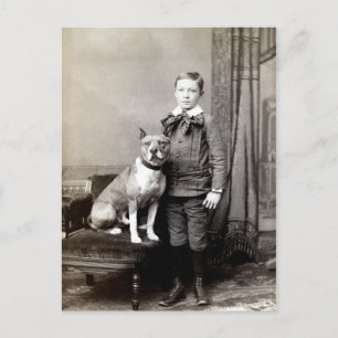 1890 Boy and his American Staffordshire Terrier Postcard