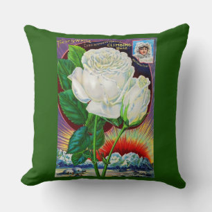 1890s rose catalogue illustration White Rose Cushion