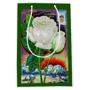1890s rose catalogue illustration White Rose Medium Gift Bag
