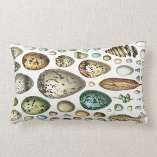 1897 ANIMAL EGGS from Meyers Konversations-Lexikon Lumbar Cushion
