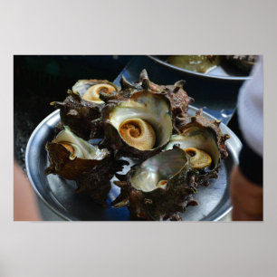 18×12 Haenyeo Sora Conch Harvest Photo Print