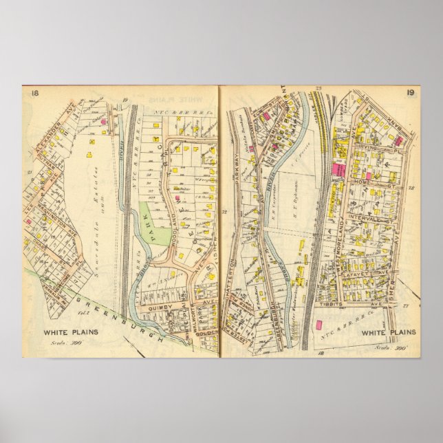 18-19 White Plains Poster (Front)