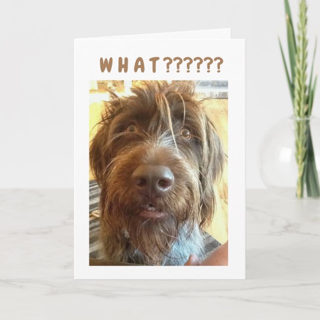 *18th BIRTHDAY* FROM GRIFFON Card (Front)