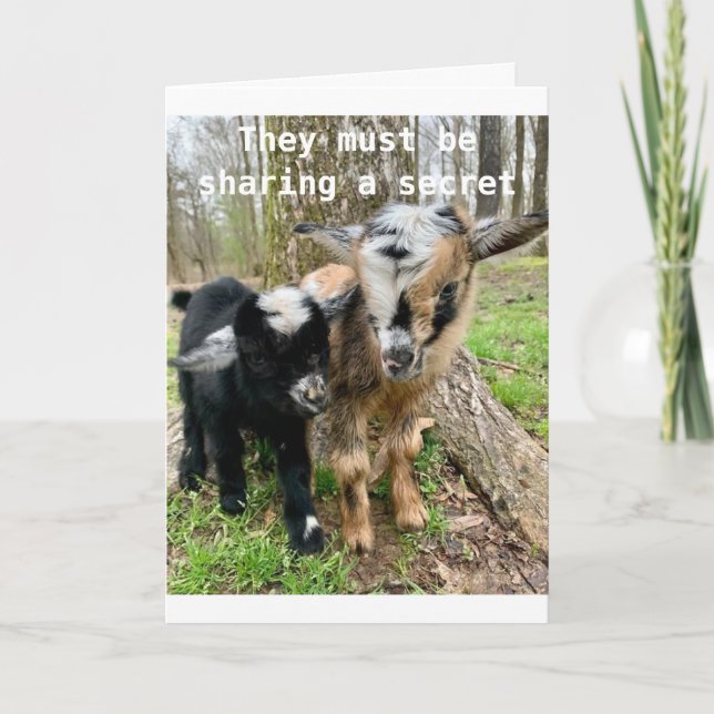 **18th BIRTHDAY** GOATS SHARE A SECRET ABOUT IT   Card (Front)