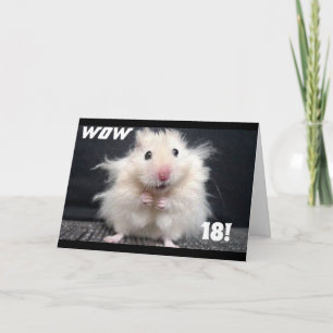 ***18th BIRTHDAY WISHES*** W0W HAIR IS ON END!!!! Card