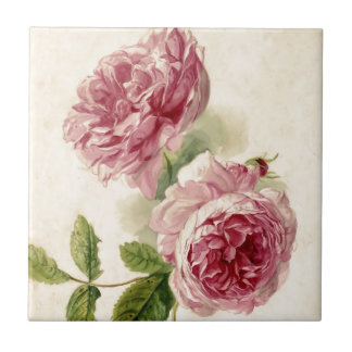 18th Century Pink Rose Study Ceramic Tile