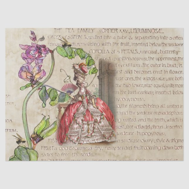 18th Century Royal Ephemera Tissue Paper (Front)