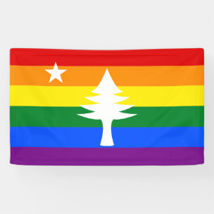 1901 Maine Flag Outdoor Banner - Rainbow Edition