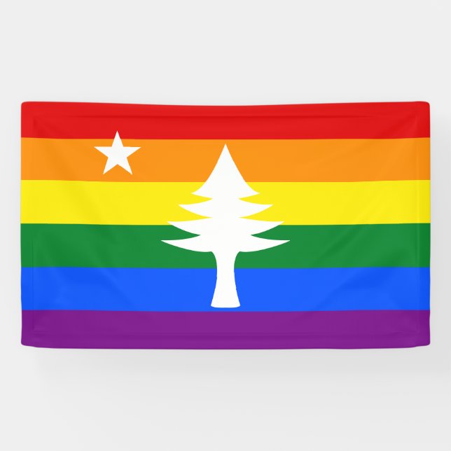 1901 Maine Flag Outdoor Banner - Rainbow Edition (Horizontal)