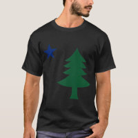 1901 Old First Flag of Maine Pine Tree and Star