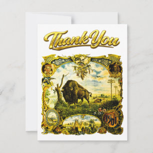 1901 Pan American Expo Buffalo NY Indian Thank You Card