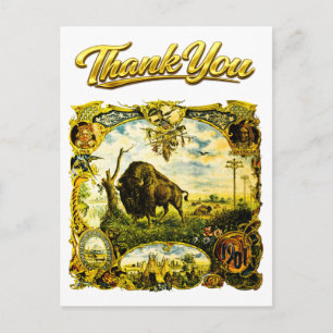 1901 Pan American Expo Buffalo NY Indian Thank You Postcard