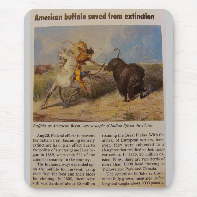1902  American Buffalo Saved from Extinction Mouse Pad (Front)