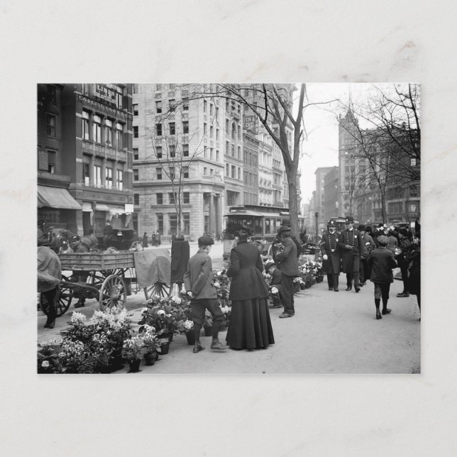 1904 Easter Fowers NYC Postcard (Front)