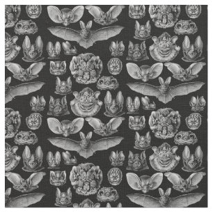 1904 Haeckel Chiroptera Fabric