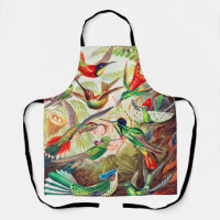 1904 hummingbirds print