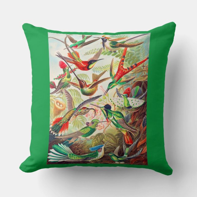 1904 hummingbirds print cushion (Front)