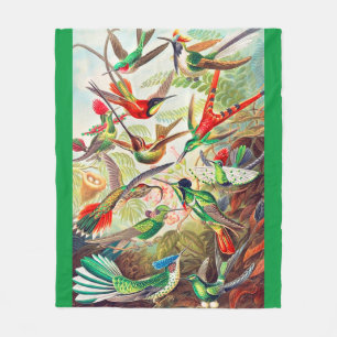 1904 hummingbirds print fleece blanket