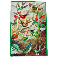 1904 hummingbirds print