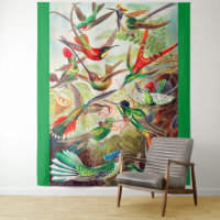 1904 hummingbirds print
