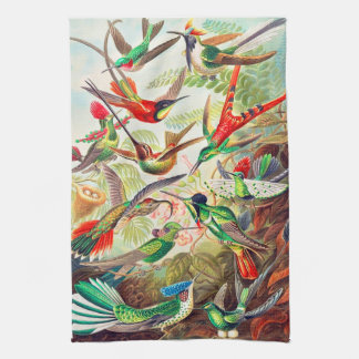 1904 hummingbirds print tea towel