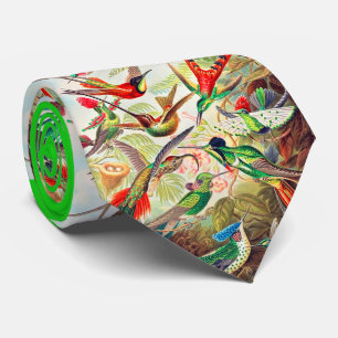 1904 hummingbirds print tie