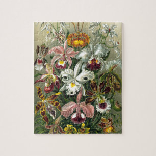 1904 Orchids Art Forms of Nature Print Jigsaw Puzzle