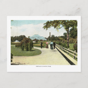 1906 Flowers in Lincoln Park, Chicago Vintage Postcard