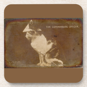 1906 The Commanding Officer dressed cat RPPC Coaster
