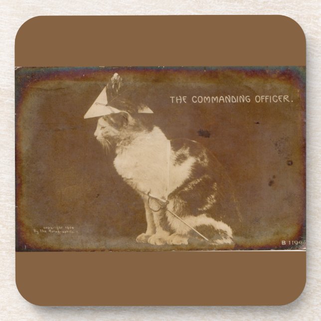 1906 The Commanding Officer dressed cat RPPC Coaster (Front)
