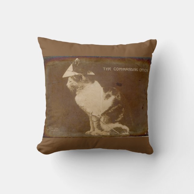 1906 The Commanding Officer dressed cat RPPC Cushion (Front)