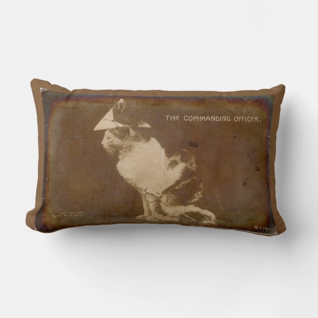 1906 The Commanding Officer dressed cat RPPC Lumbar Cushion (Front)