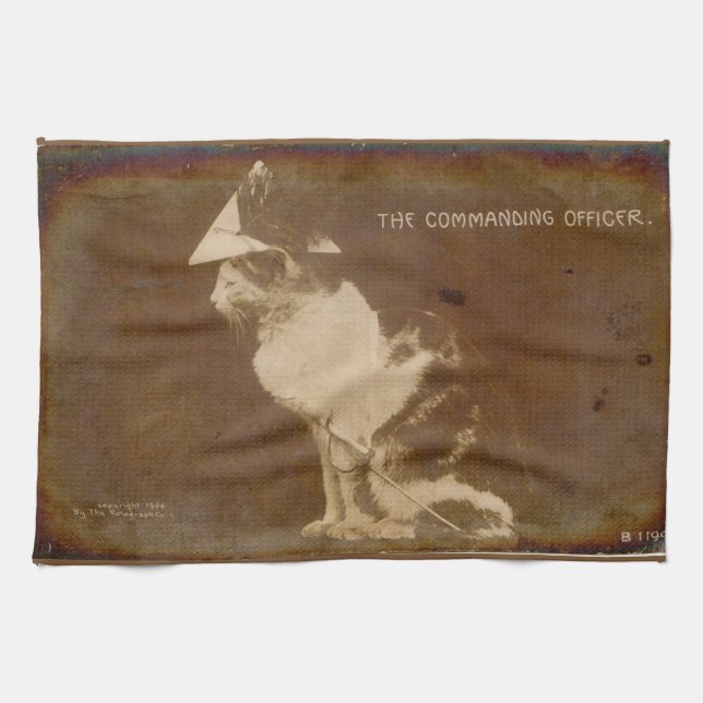 1906 The Commanding Officer dressed cat RPPC Tea Towel (Horizontal)