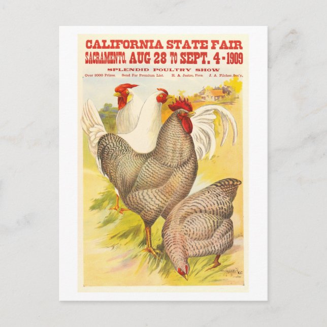 1909 California State Fair Poultry Poster Postcard (Front)