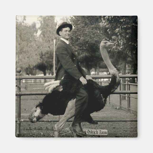 1910 Ostrich Riding Magnet (Front)