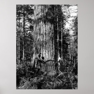 1910 STANLEY PARK CANADA LOGGERS POSTER