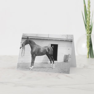 1911 Show Horse Card