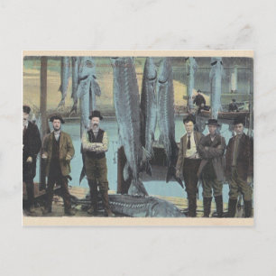 1914 Sturgeon Postcard - Sturgeon Catch