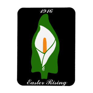 1916 Easter Rising Magnet
