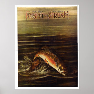 1919 Forest and Stream Poster