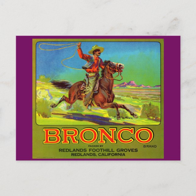 1920s Bronco fruit crate label Postcard (Front)